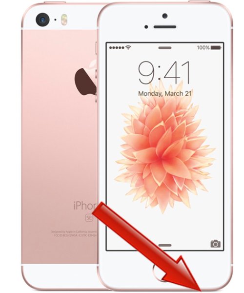 iPhone SE - Hgtalare byte