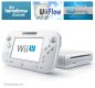 Wii U Softmod (Flash)